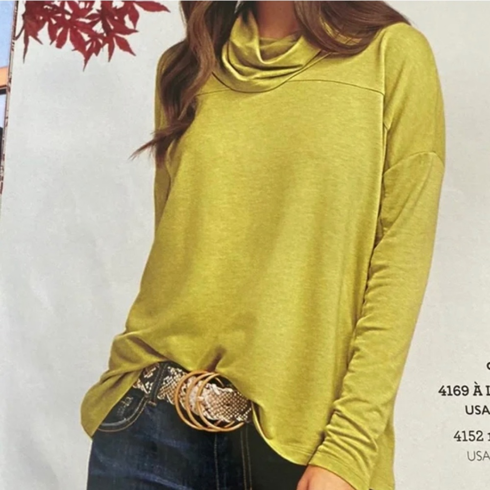 Cabi Ease Turtleneck